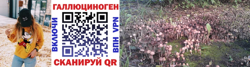 Купить закладки  Нижний Тагил  Псилоцибиновые грибы Cubensis 